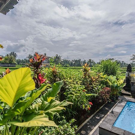 Pondok Anastasia Ubud Exterior foto