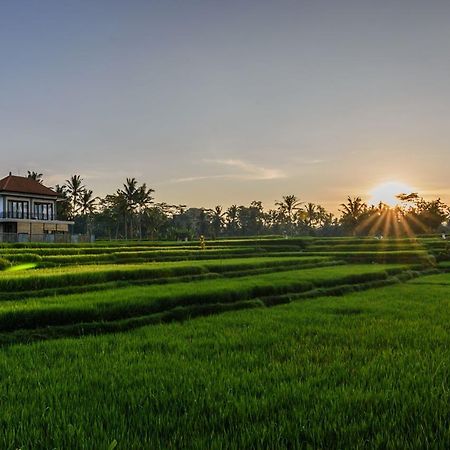 Pondok Anastasia Ubud Exterior foto