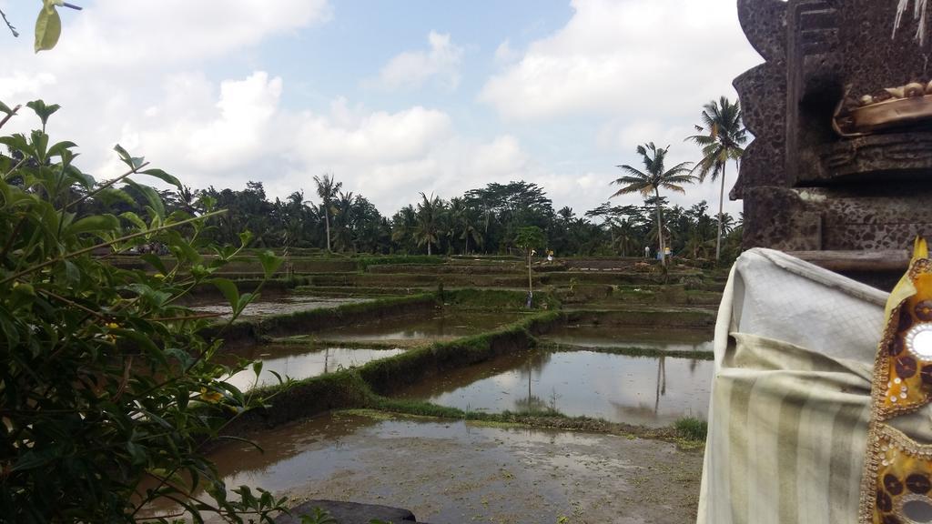 Pondok Anastasia Ubud Exterior foto