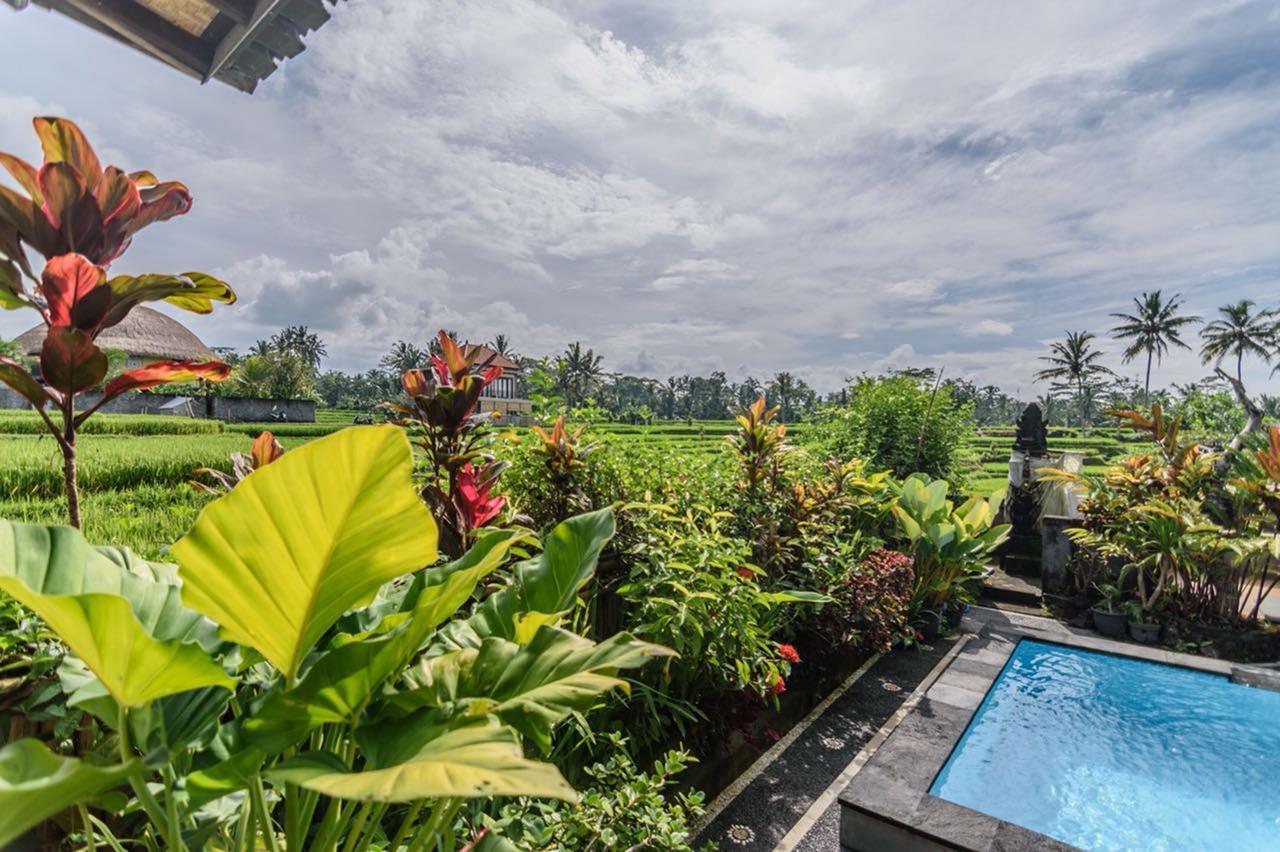 Pondok Anastasia Ubud Exterior foto
